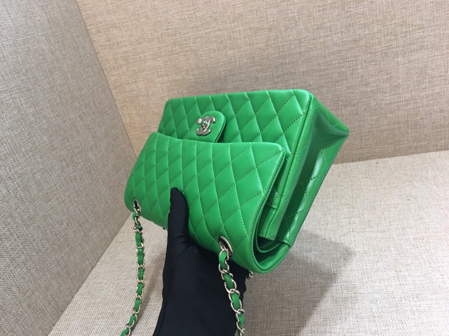 Medium Classic Flap Lambskin Bag AO1112 Green/Silver